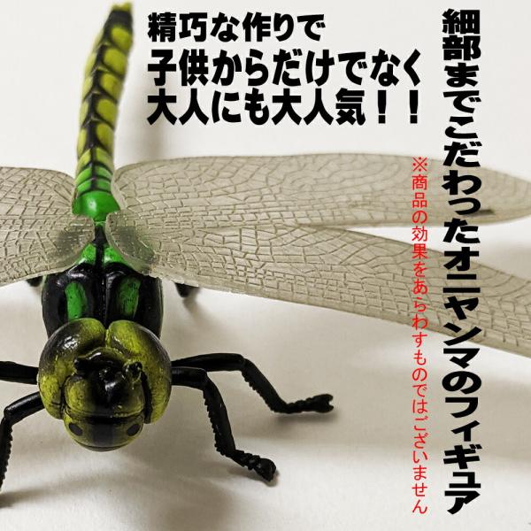 とんぼ様 トンボノート