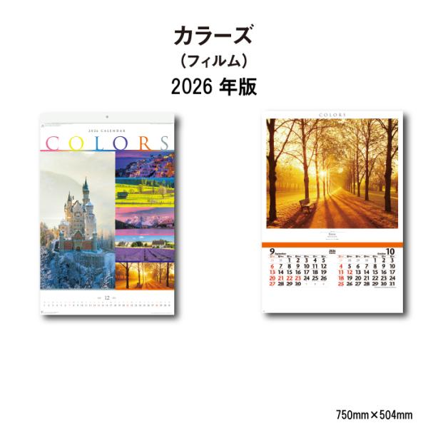 2026 コンパクト作品集 新日本カレンダー カレンダー 2026年 壁掛け (フィルム)カラーズ NK415