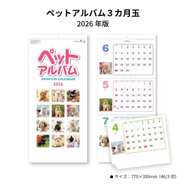 ※レビュー投稿で次回使えるクーポンプレゼント※【 2026年 ペットアルバム３カ月玉 SG321  商品詳細 】・サイズ　：770×350mm（46/3切）・ページ数：6枚【 商品特徴 】・子犬に癒される人気の犬種が勢ぞろい・ミシン目入りの...