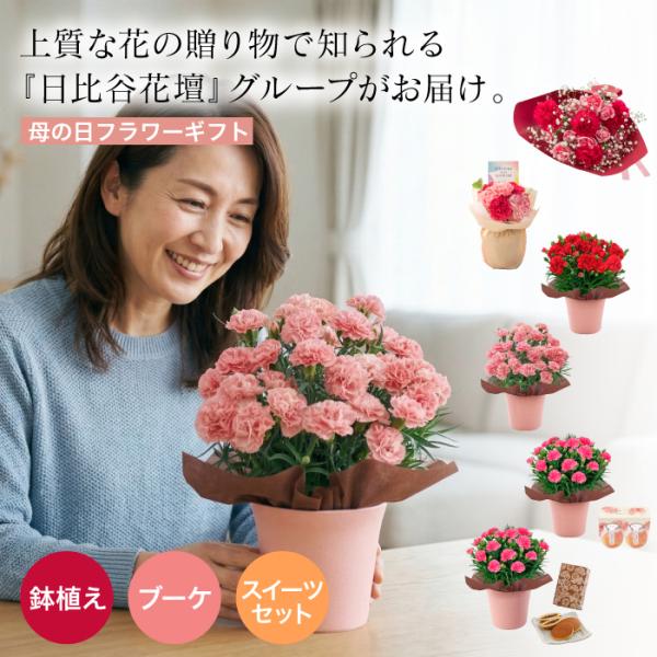 送料無料 母の日 フラワーギフト 2026 カーネーション 母の日 日比谷花壇グループ フレネットHIBIYA 日比谷花壇 プレゼント 花 生花 花束 スイーツセット 鉢植え