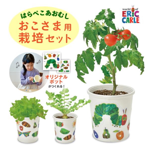 ※レビュー投稿で次回使えるクーポンプレゼント※はらぺこあおむしと楽しく食育◇はらぺこあおむし ペタペタ＆スクスク 栽培セット  商品詳細◇サイズ・11.5×10.5×10.5cmセット内容・大ポット / 小ポット / 鉢底シート / 種入り...