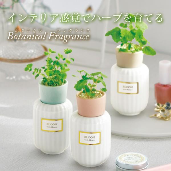 ※レビュー投稿で次回使えるクーポンプレゼント※インテリア感覚でハーブを育てるハーブ栽培キット！◇BotanicalFragrance　商品詳細◇サイズ：W8cm×D5.8cm×H12.3cmセット内容：底面給水ポット/給水フィルター（スティ...