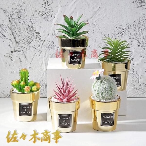 小型 フェイクグリーン サボテン 多肉植物 アロエフェイクフラワー 日陰や寒さに強い 世話いらず おしゃれ 枯れない プレミアム 土なし 撮影 キッチン 子供部屋 Rifdf2 佐々木 通販 Yahoo ショッピング