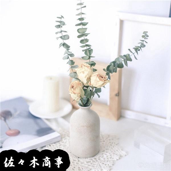 ドライフラワー バラ 木綿 ユーカリ プリザーブドフラワー 枯れない花 花束 陶器付き 世話いらず 防カビ ナチュラル 卓上 在宅 花園 Xhyx59bdca1ad 佐々木 通販 Yahoo ショッピング