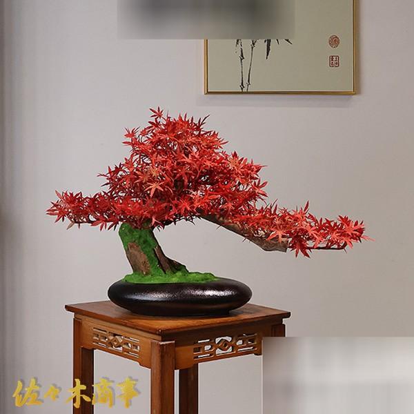 人工植物 盆栽風 緑 赤