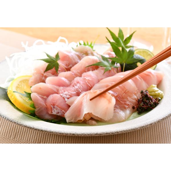 鮮魚 切り身 検索ランキング注目度順 鮮魚 切り身 総合