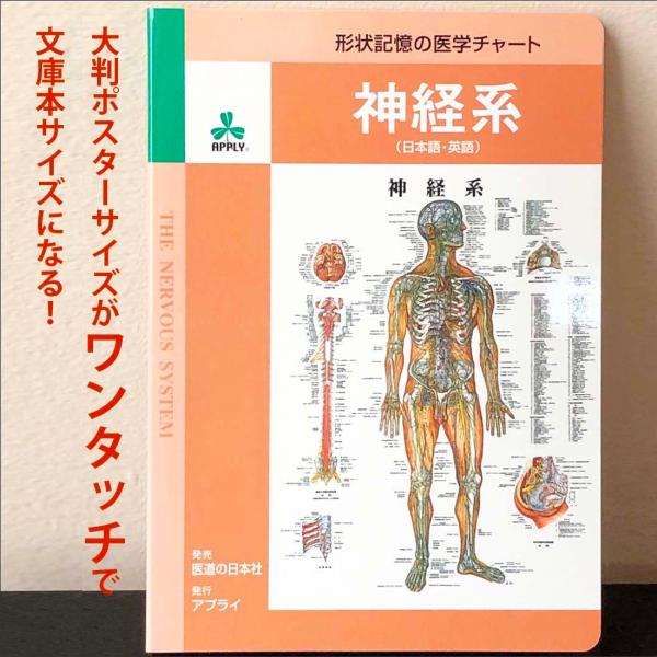 jintan-100_j8949kk