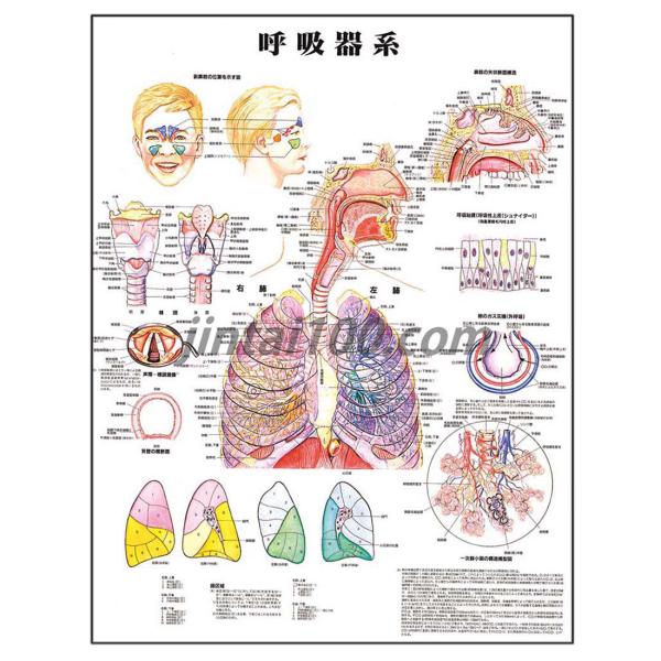jintan-100_j9870pl jintan-100_j9870pl