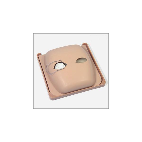 机太郎ウェットラボ模型 白内障手術練習用模擬眼の魅力と使い方