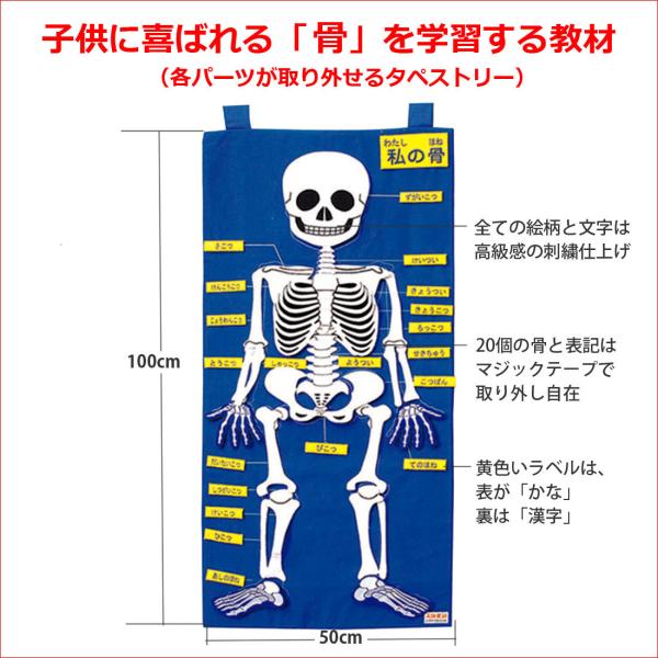 「わたしの骨」タペストリー 布製知育教材