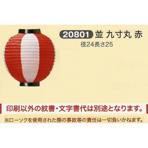 祭礼提灯 特殊提灯 文字入れ 紋入 別料金 並 九寸丸 赤  ちょうちん 2025