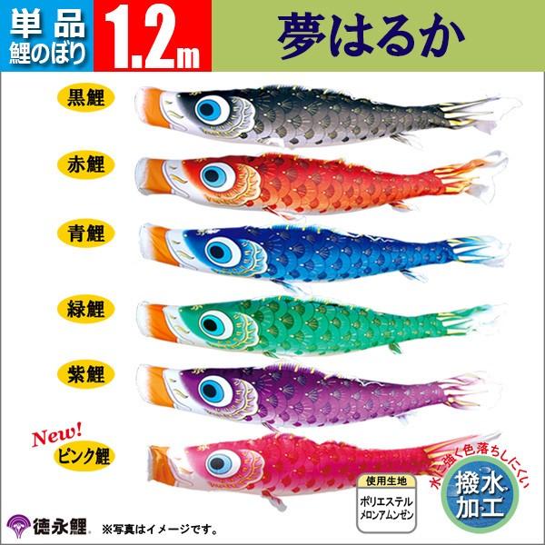 ̂ڂ Pi 1.2m ͂邩 îڂ 