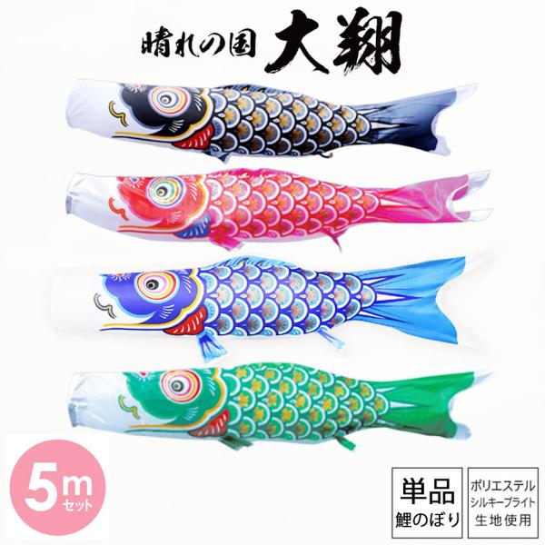 ̂ڂ ̂ڂ p i Pi     ̍  5m