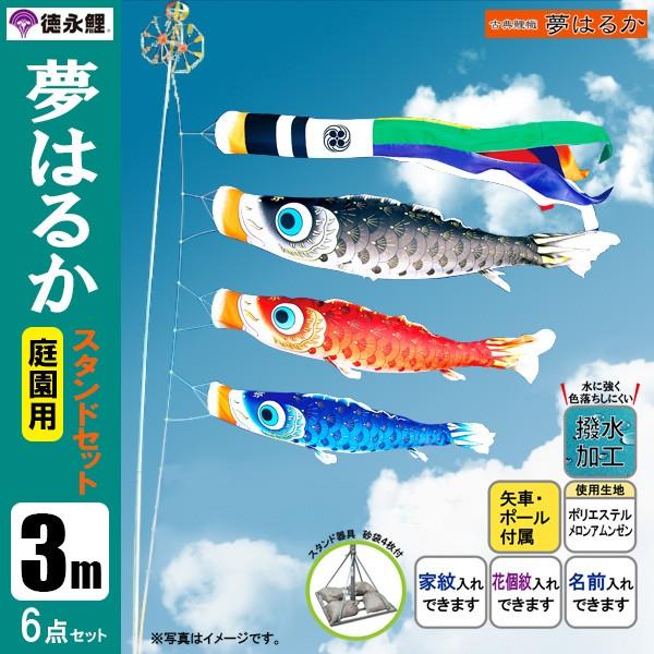 ̂ڂ  pX^hZbg 3m6_Zbg ͂邩 ̂ڂ X^h|[t îڂ 