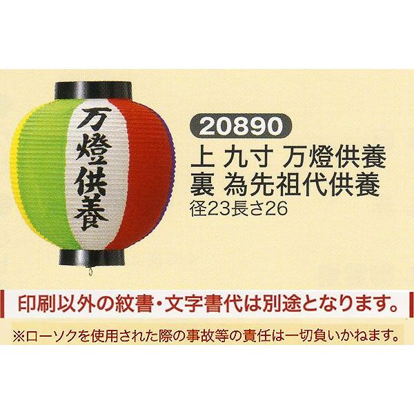 ՗    ʗ  㐡 {  אc { 傤 2025