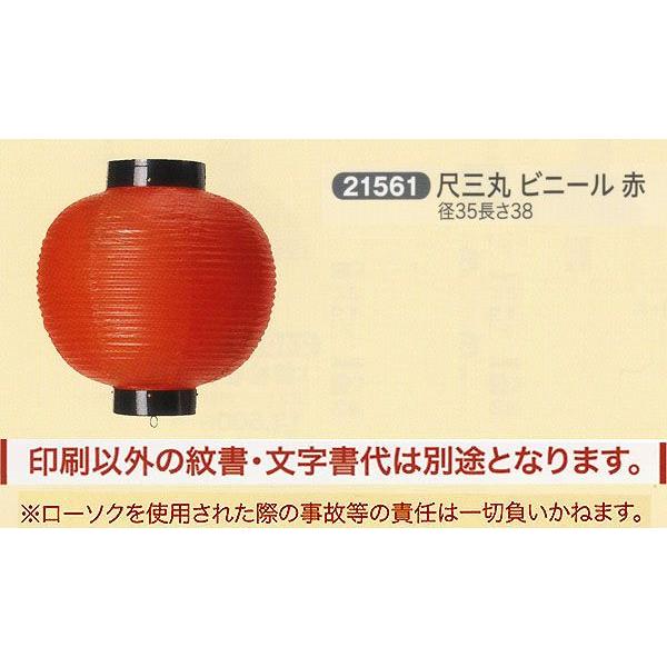 ՗     ʗ ڎO rj[  傤 2025