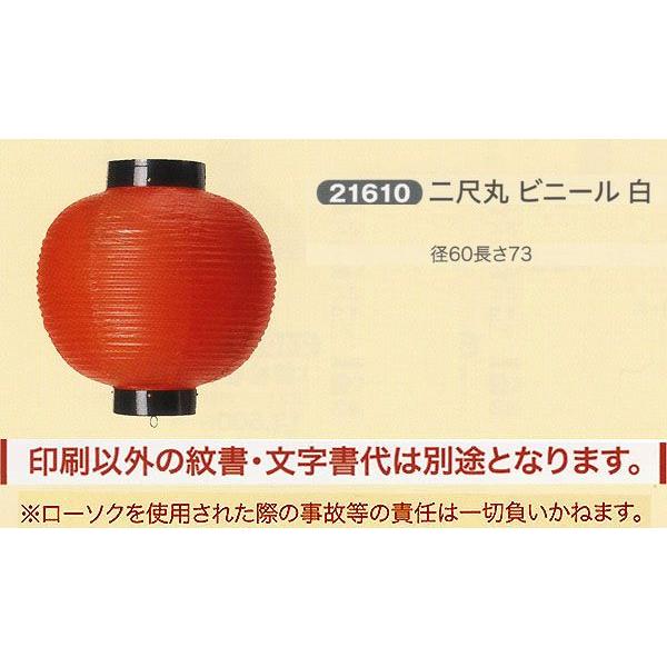 ՗     ʗ ڊ rj[  傤 2025