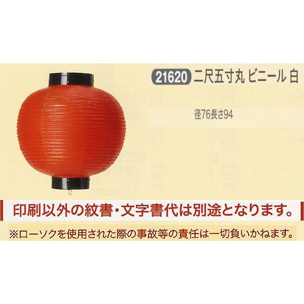 ՗     ʗ ڌܐ rj[  傤 2025