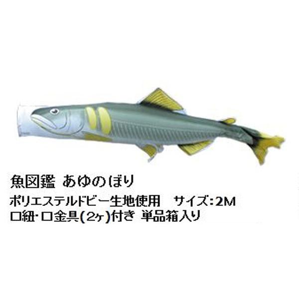 日本公式品 廃版 徳永 徳永鯉のぼり 魚図鑑 魚図鑑あゆのぼり2m ポリエステルドビー生地 人形広場おしゃれオシャレベランダスタンドポールベラ 超目玉 Alimamiy Ru