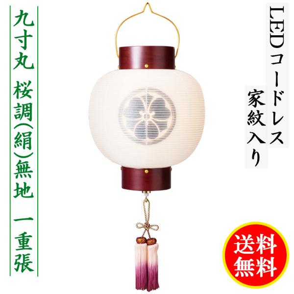 ~ RpNg 傤  ~ Ɩ 㐡 n d LED R[hX 菑  Zn Ɩ㍞  2023