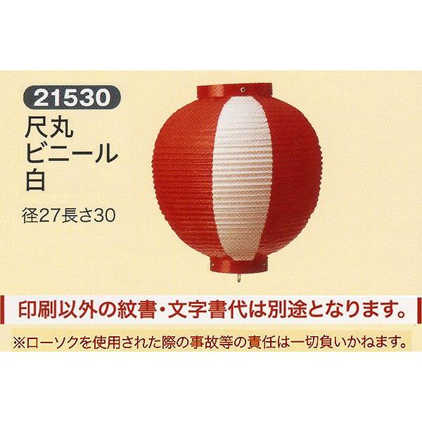 ՗     ʗ ڊ rj[  傤 2025