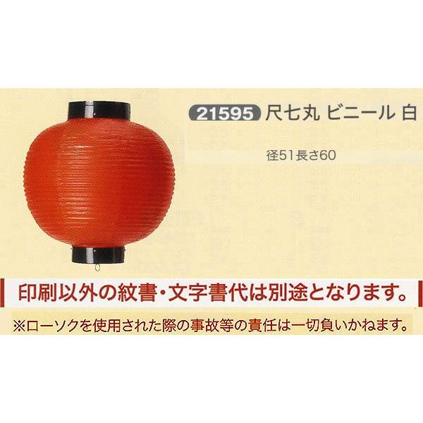 ՗     ʗ ڎ rj[  傤 2025