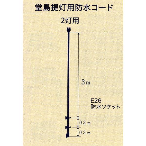  񓔗p ՗ 񓔗phR[h2p 傤 2025