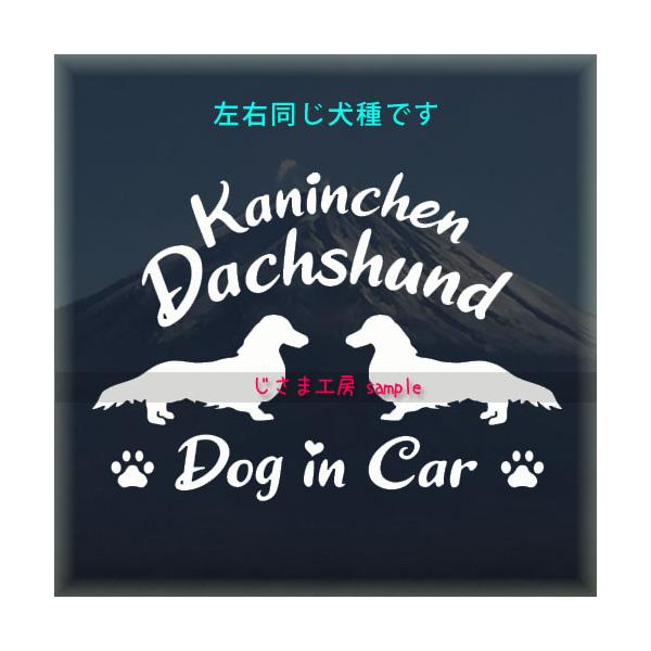 カニンヘンダックスフンド　ロングコート 2頭飼　多頭飼　ステッカー　同一犬種　シルエット 　DOGinCAR　犬　シール　車　ペット