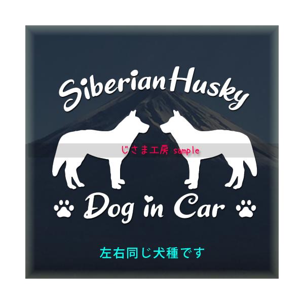 シベリアンハスキー　 2頭飼　多頭飼　ステッカー　同一犬種　シルエット 　DOGinCAR　犬　シール　車　ペット