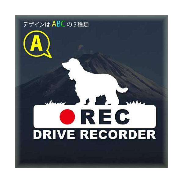 【　イングリッシュコッカースパニエル　ドラレコ　】★デザインはＡＢＣの３種類。見本画像1〜3枚をご確認の上、オプションからお選びください。ご選択なしの場合は見本画像１枚目の A タイプになります。【ステッカー説明】見本画像の白い絵柄と文字及...