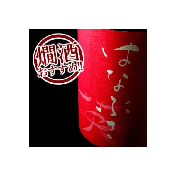 英（はなぶさ）　特別純米酒　720ml　【森喜酒造場：三重県伊賀】　　地酒  日本酒