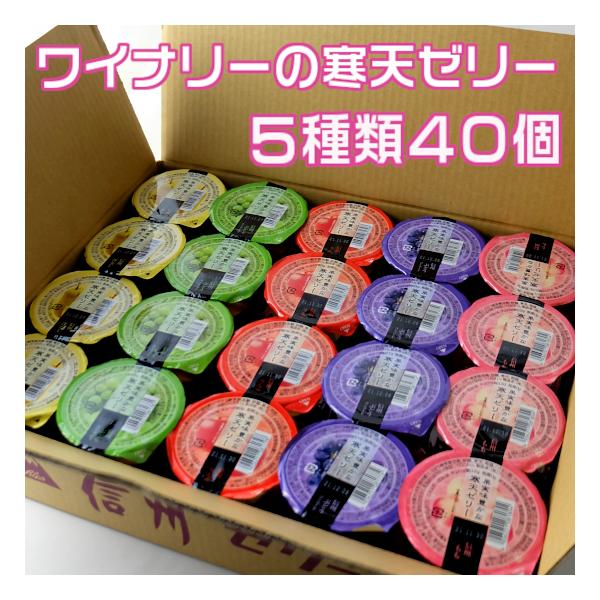 AvX ʎL V[[ MB̃t[c[[ lߍ킹 A\[g 540 Zbg PP[X NZ-40