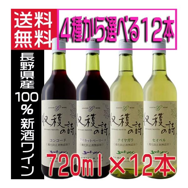 五一ワイン 収穫の詩 無添加ワイン 新酒 2022 赤ワイン 白ワイン 4種から選んで 720ml×12本 送料無料  :goichiscuset12:地酒なかむら - 通販 - Yahoo!ショッピング