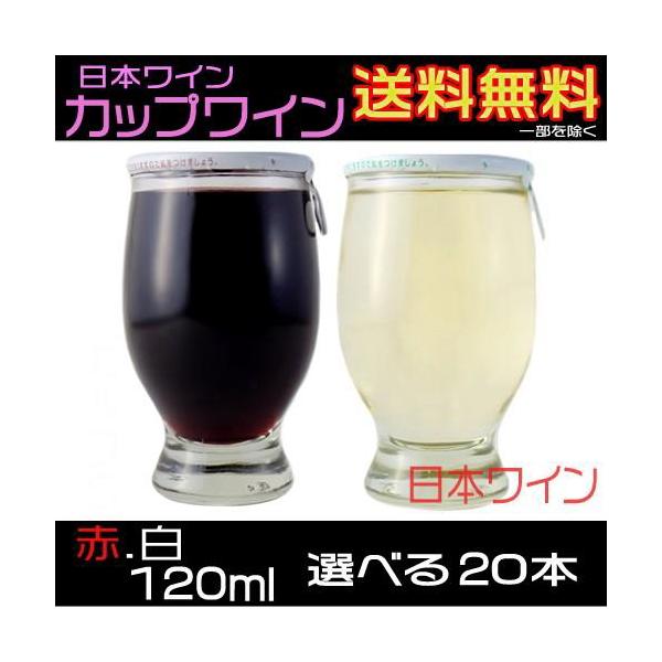 五一わいん カップワイン 赤 白 中口 120ml×20本 長野県 日本ワイン まとめ買い