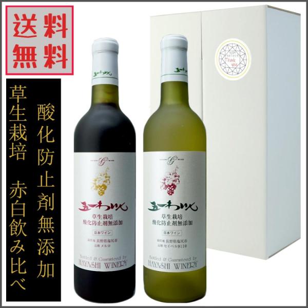 五一ワイン 無添加 草生栽培 メルロ セイベル 赤白セット 720ml 長野県 日本ワイン ギフトセット