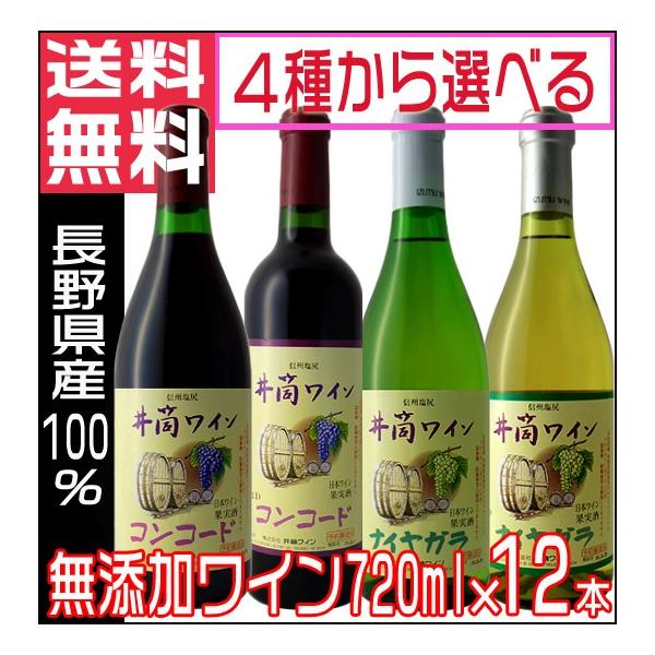 䓛C YC ԃC C 2025 V 720ml Iׂ12{ 1P[X YCZbg