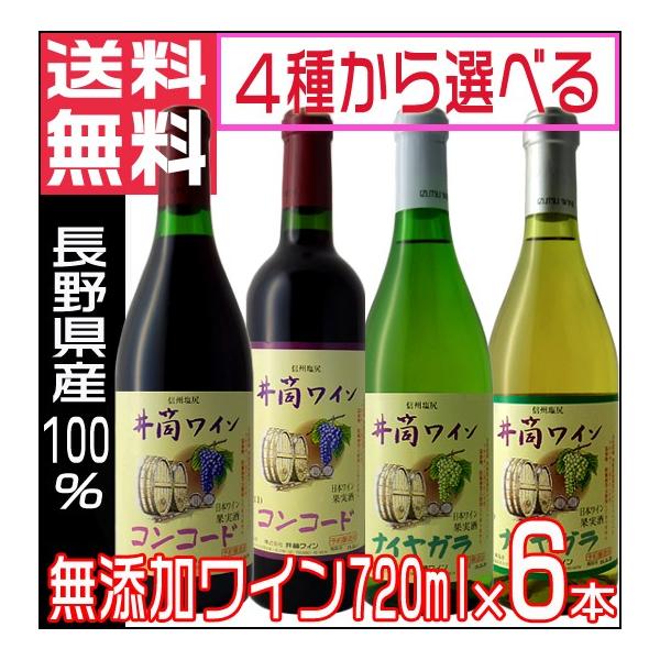 䓛C Y ԃC C 2025 V 720ml Iׂ6{Zbg Y CZbg