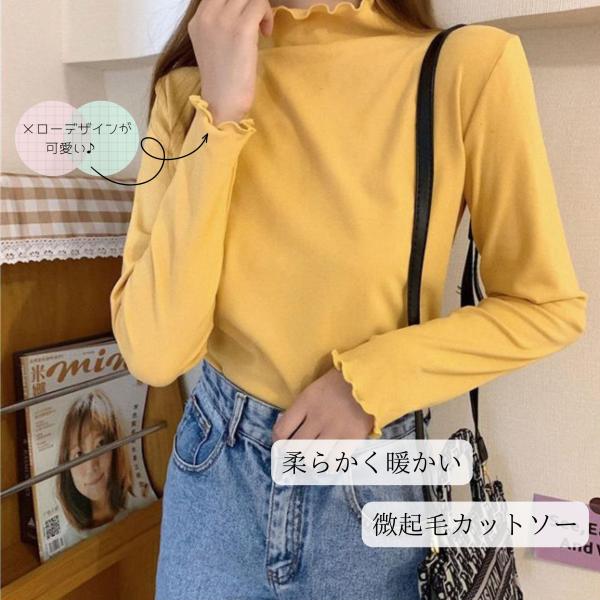 秋冬 微起毛 プチハイネック カットソー レディース 長袖 インナー 重ね着 メロー 柔らかい 暖かい レイヤード カラバリ 送料無料
