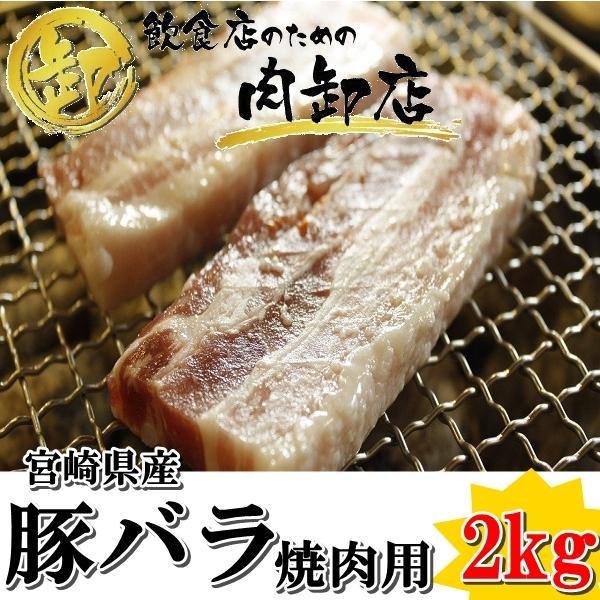 豚バラ焼肉用 小分けパック 2kg 宮崎県産 おうちごはん 急速冷凍 業務用 卸値 豚 豚肉 L 0006 飲食店のための肉卸店 通販 Yahoo ショッピング