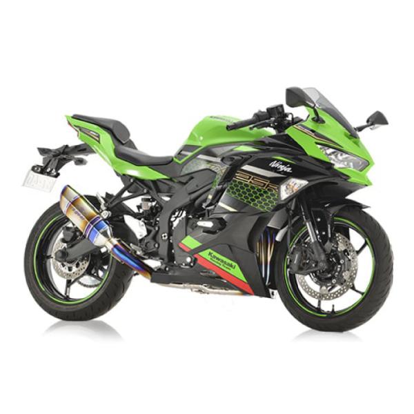 AKRAPOVIC（アクラポビッチ） 直送品 アールズギア カワサキ NINJA ZX