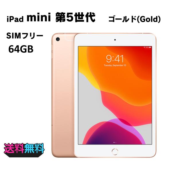 iPad mini ゴールド 64G本体 動作確認済み iPad mini 【動作確認・初期化済み】 電池83％ SIMフリー Apple 第5
