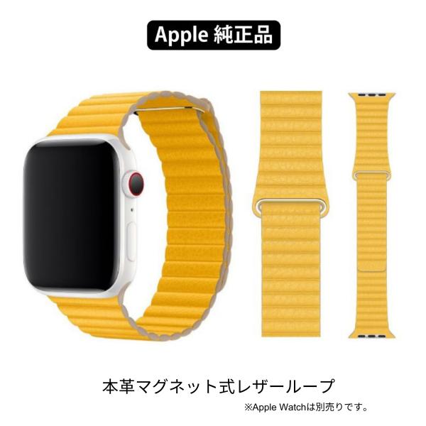 新品未開封品 アップル純正正規品 Apple Watch 44mm/45mm/46mm用レザーループバンド【Lサイズ 】