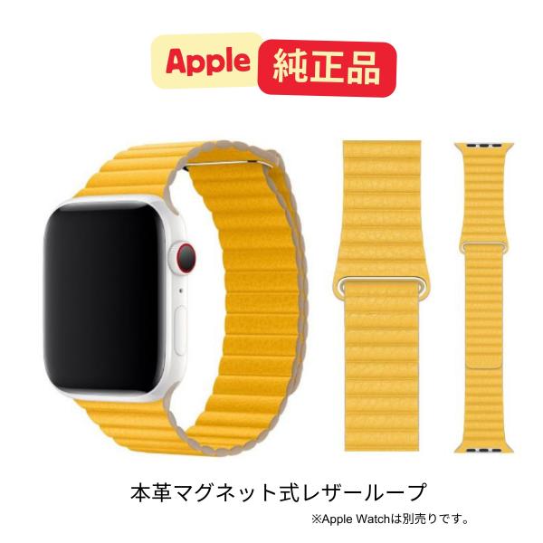 Apple Watch 美品　正規品 Apple 新品未開封品 アップル純正正規品 Apple Watch 44mm/45mm/46mm用