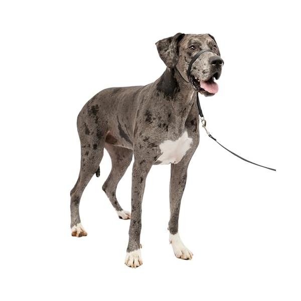PetSafe ペットセーフ ジェントルリーダー ヘッドカラー クイック