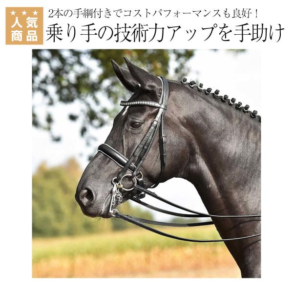 送料無料 Busse グランプリ 大勒頭絡 セット 手綱付き 乗馬 頭絡 付属品 額革 乗馬用品 馬具 Buyee Buyee 日本の通販商品 オークションの代理入札 代理購入