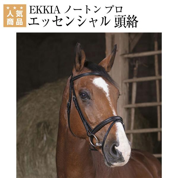 EKKIA ノートン プロ エッセンシャル 頭絡 乗馬 頭絡 額革 乗馬用品 馬具 :E-HA-3018332:乗馬用品専門店ジョセス ヤフー店 通販 乗馬用品 WALDHAUSEN クリスタル 額革 ブラック/グレー 乗馬 馬具
