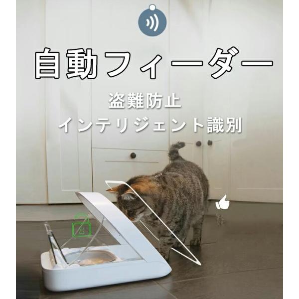 自動フィーダー マイクロチップ インテリジェント識別 盗難防止 猫