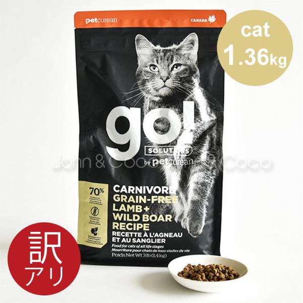 ゴー キャット カーニボア グレインフリー ラム ワイルドボア 1 36kg キャットフード 犬と猫のjohn Coco ジョン ココ 通販 Paypayモール