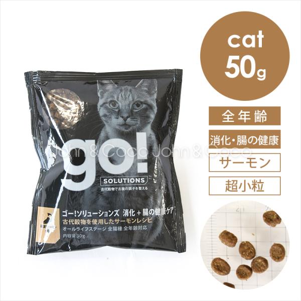 ゴー CAT 消化＋腸の健康ケア サーモン お試しミニサイズ30g お試し商品 サンプル 猫 キャットフード ドライフード お腹の健康