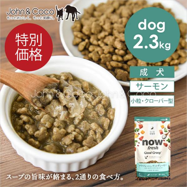 「特別価格」ナウフレッシュ グッドグレービー スモールブリード サーモンレシピ 2.3kg NOW FRESH 犬 ドッグフード 小型犬 低温調理 ミールフリー